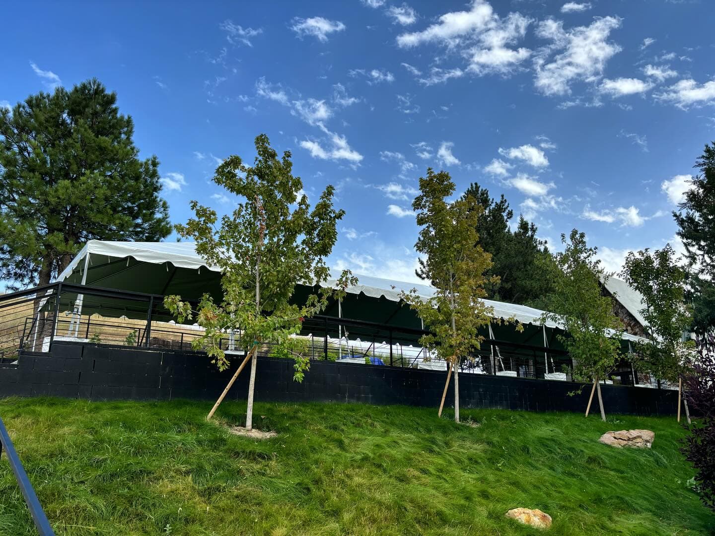 Boise Party Co. event